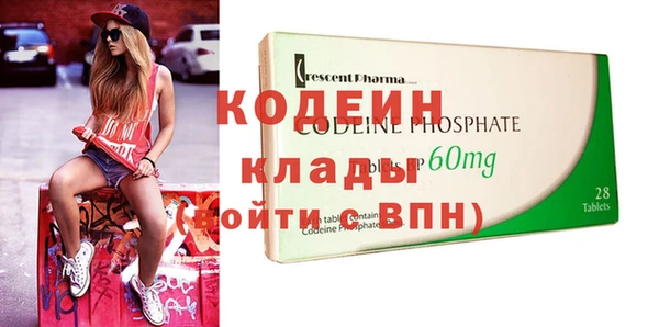 прущие грибы Коряжма