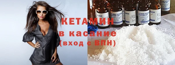 прущие грибы Коряжма