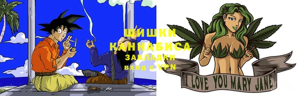 прущие грибы Коряжма