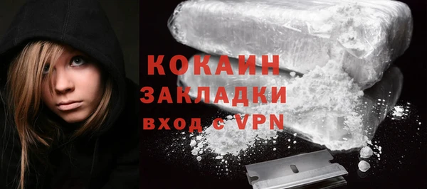 прущие грибы Коряжма