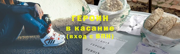 прущие грибы Коряжма