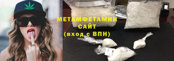 прущие грибы Коряжма