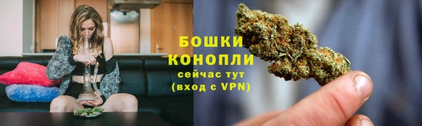 PSILOCYBIN Костерёво