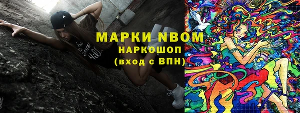 прущие грибы Коряжма