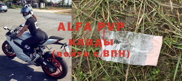 прущие грибы Коряжма